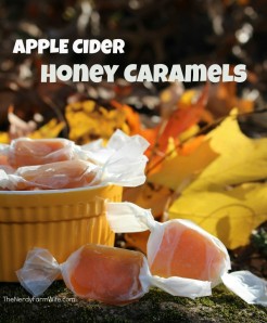 Apple-Cider-Honey-Caramels-Recipe-843x1024